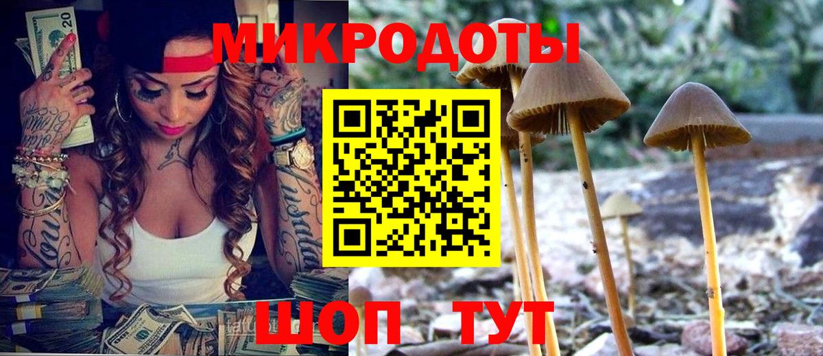 Галлюциногенные грибы Psilocybine cubensis Кострома