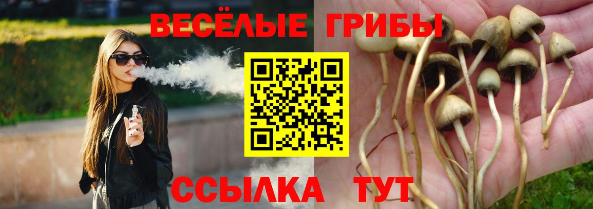 Галлюциногенные грибы ЛСД  Вход с VPN  Кострома 