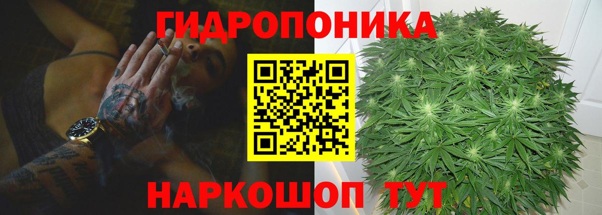 Кострома  Каннабис OG Kush  Шишки марихуана гибрид  Марихуана гибрид  Вход с VPN  Шишки марихуана тримм 